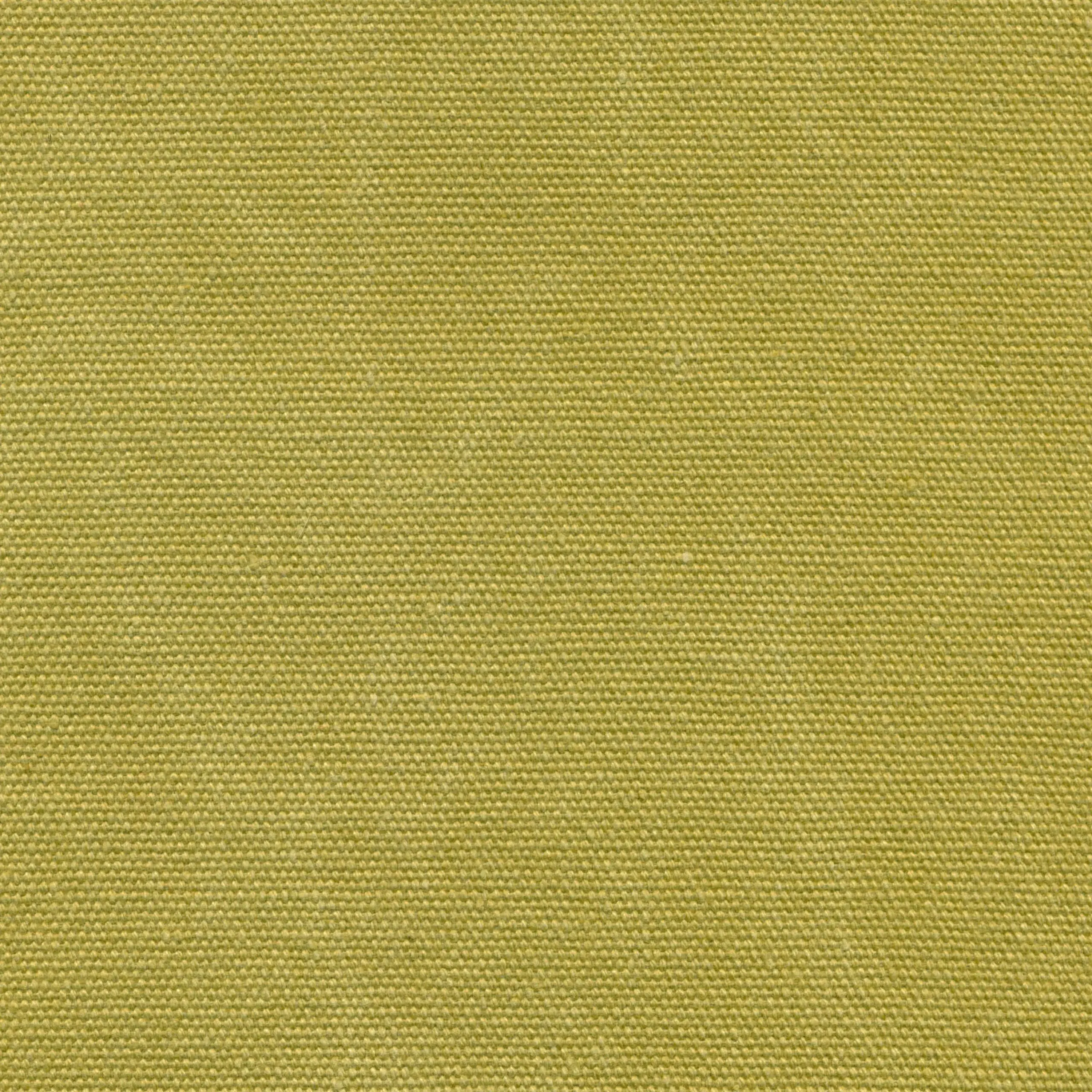 Avocado 359 | Stonewash