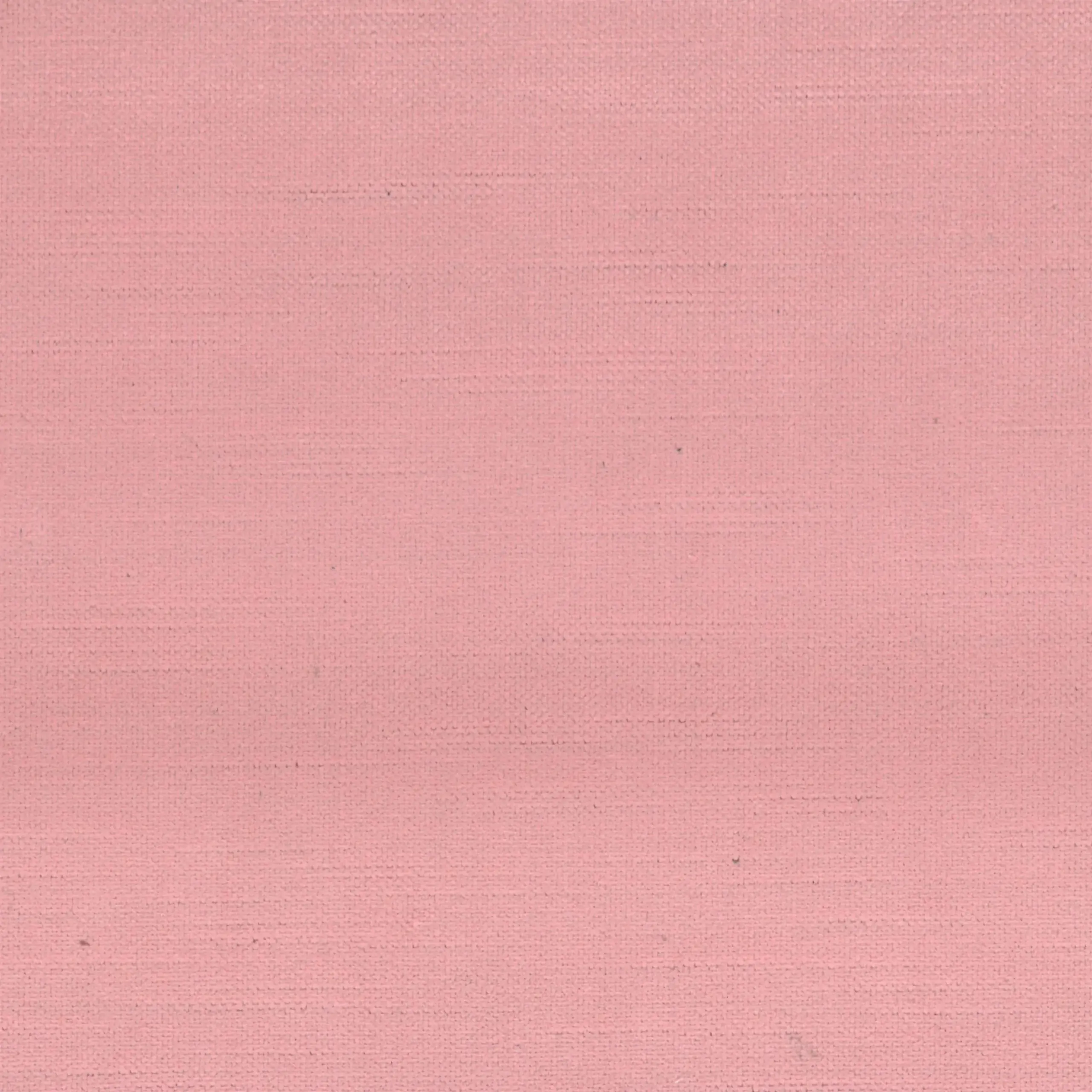 Pink 092 | York