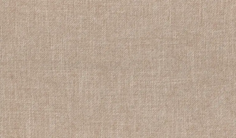 Sesame 06