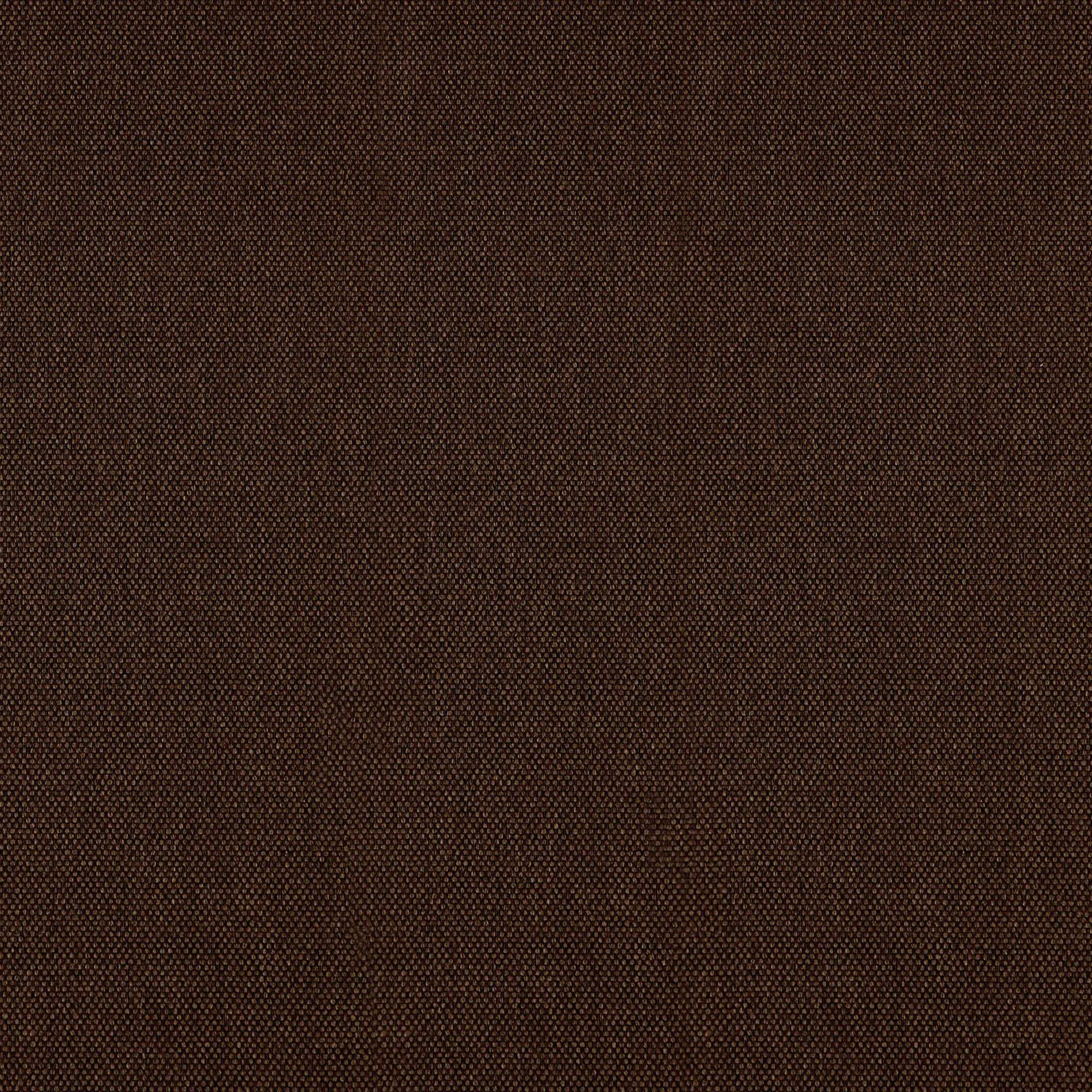 Walnut 011 | Prime