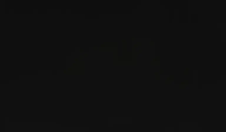 Black 5295