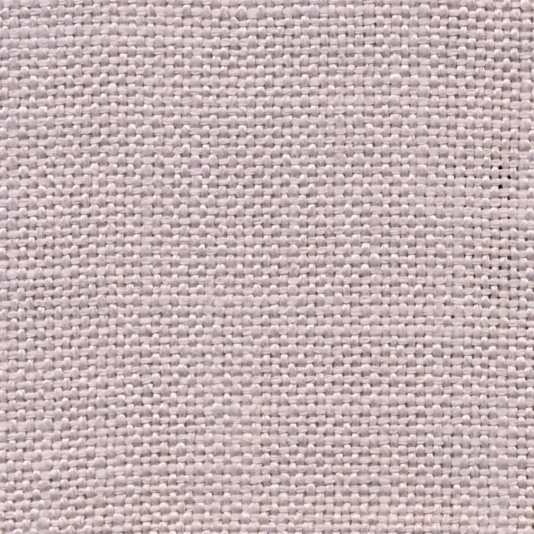 Orchid 22