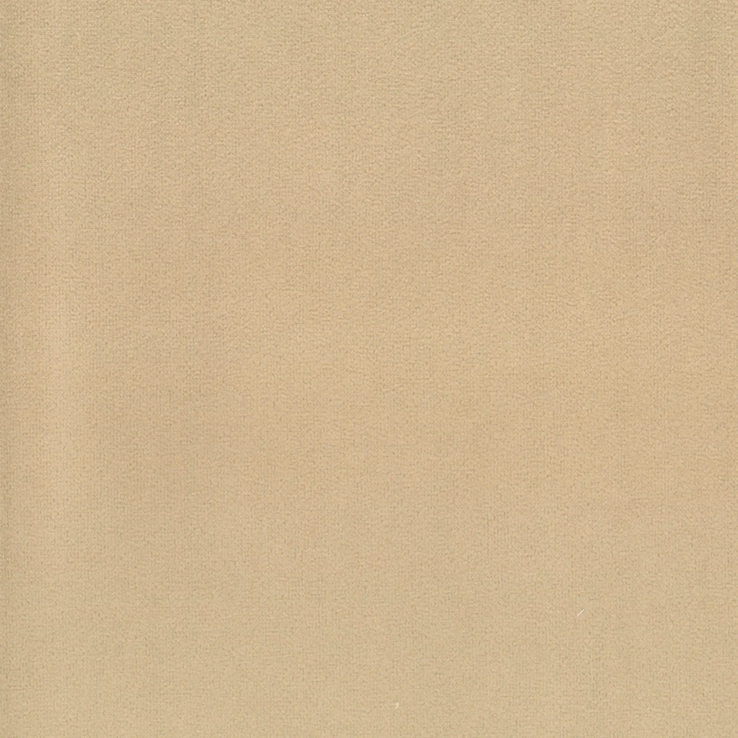 Latte 18 | Scot