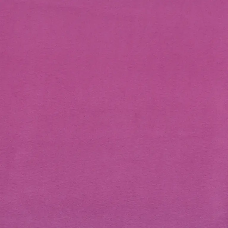 Dahlia 16