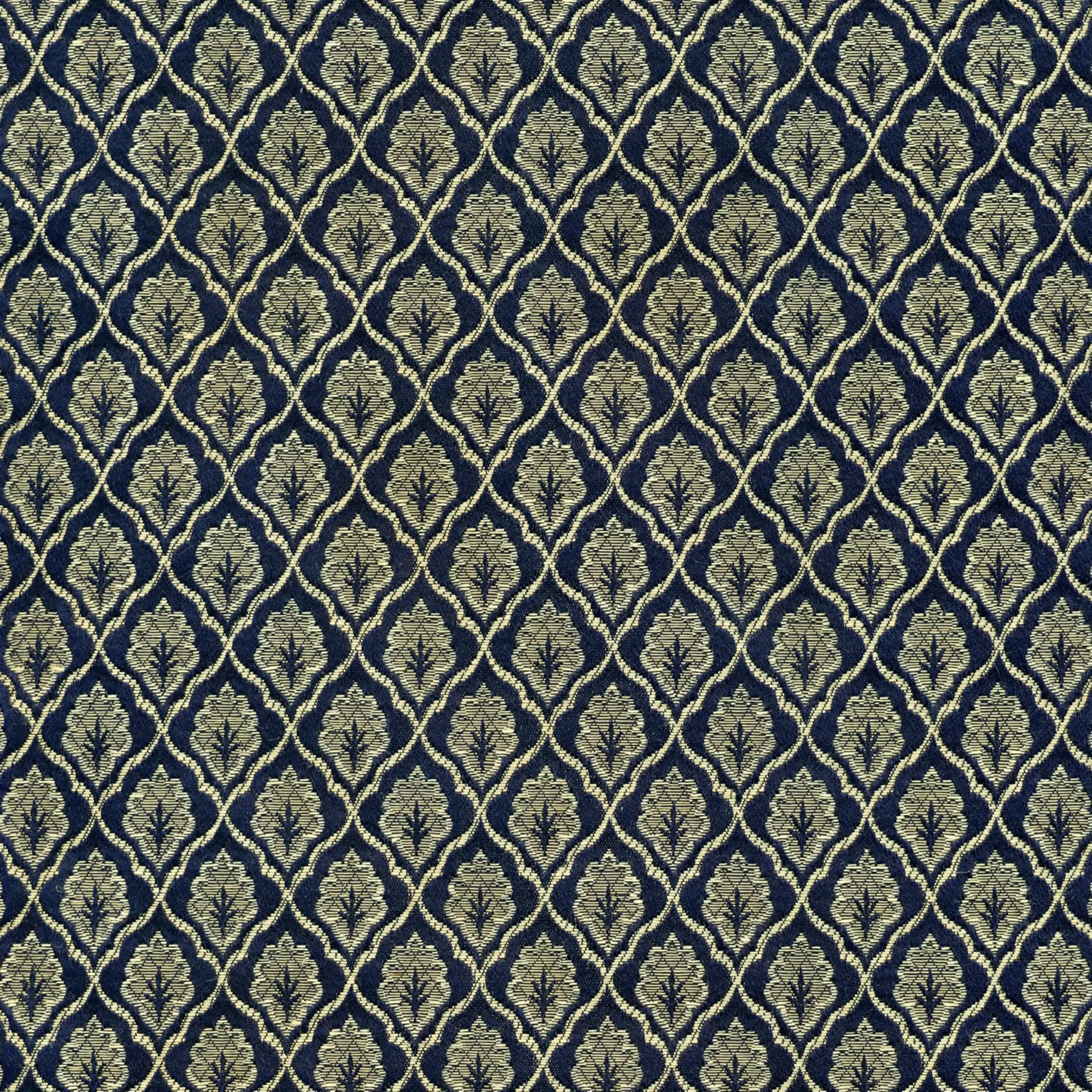 Cobalt 001 | Scarlatti