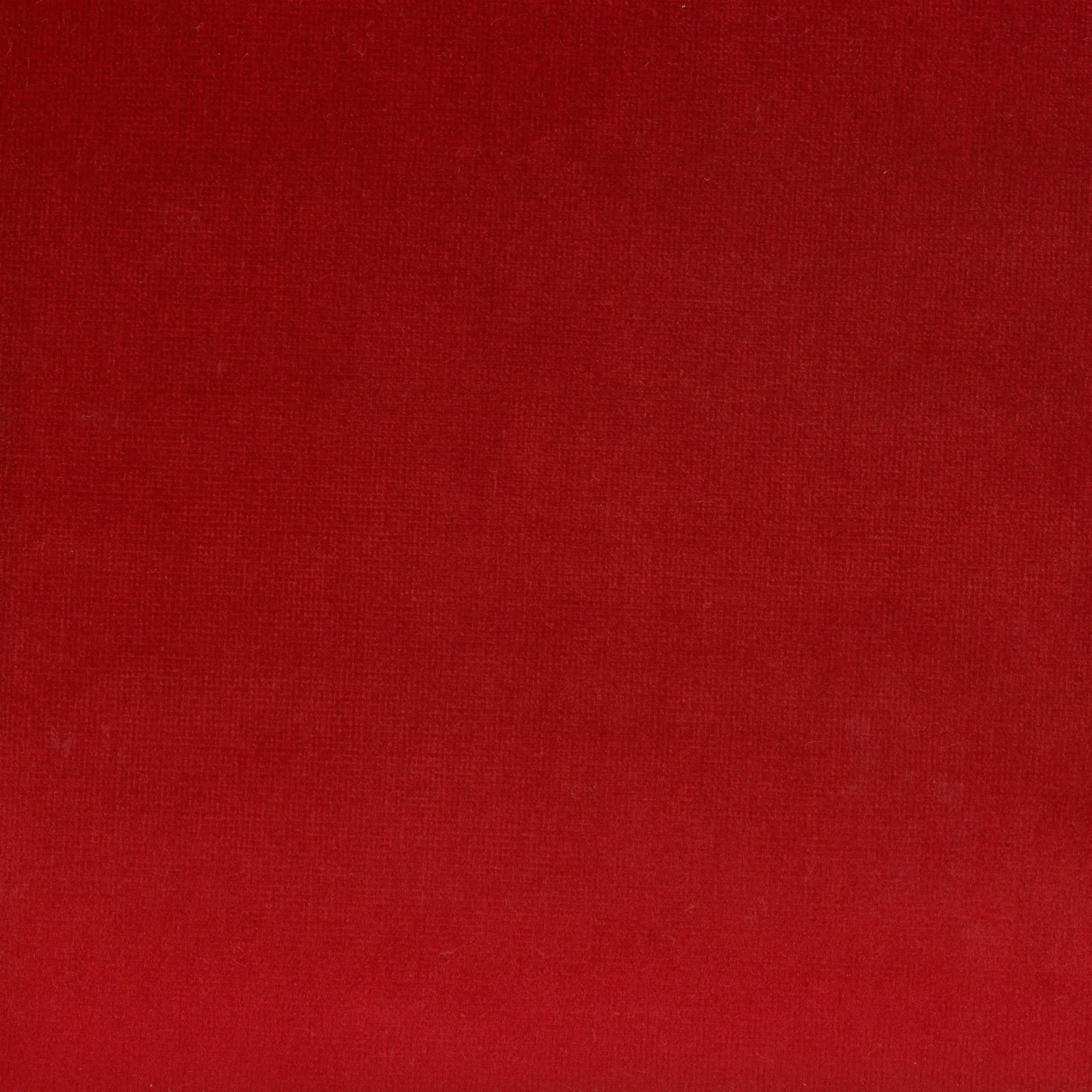 Red 47 | Yaron
