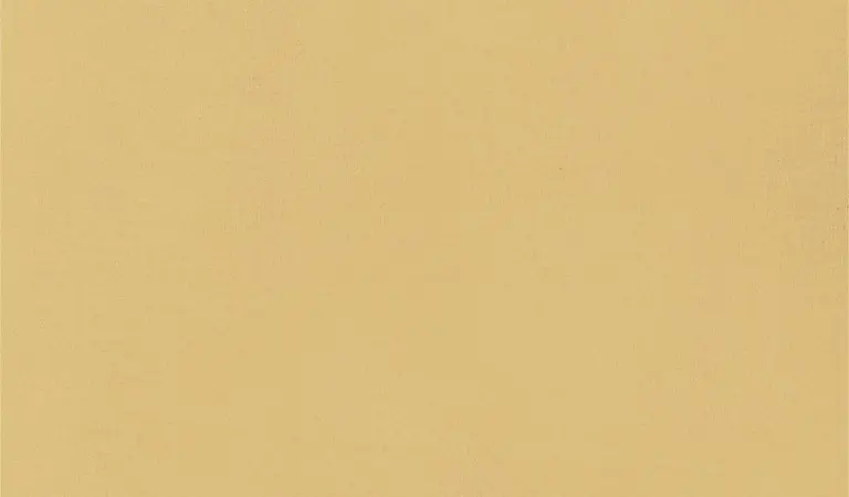 Butternut 61