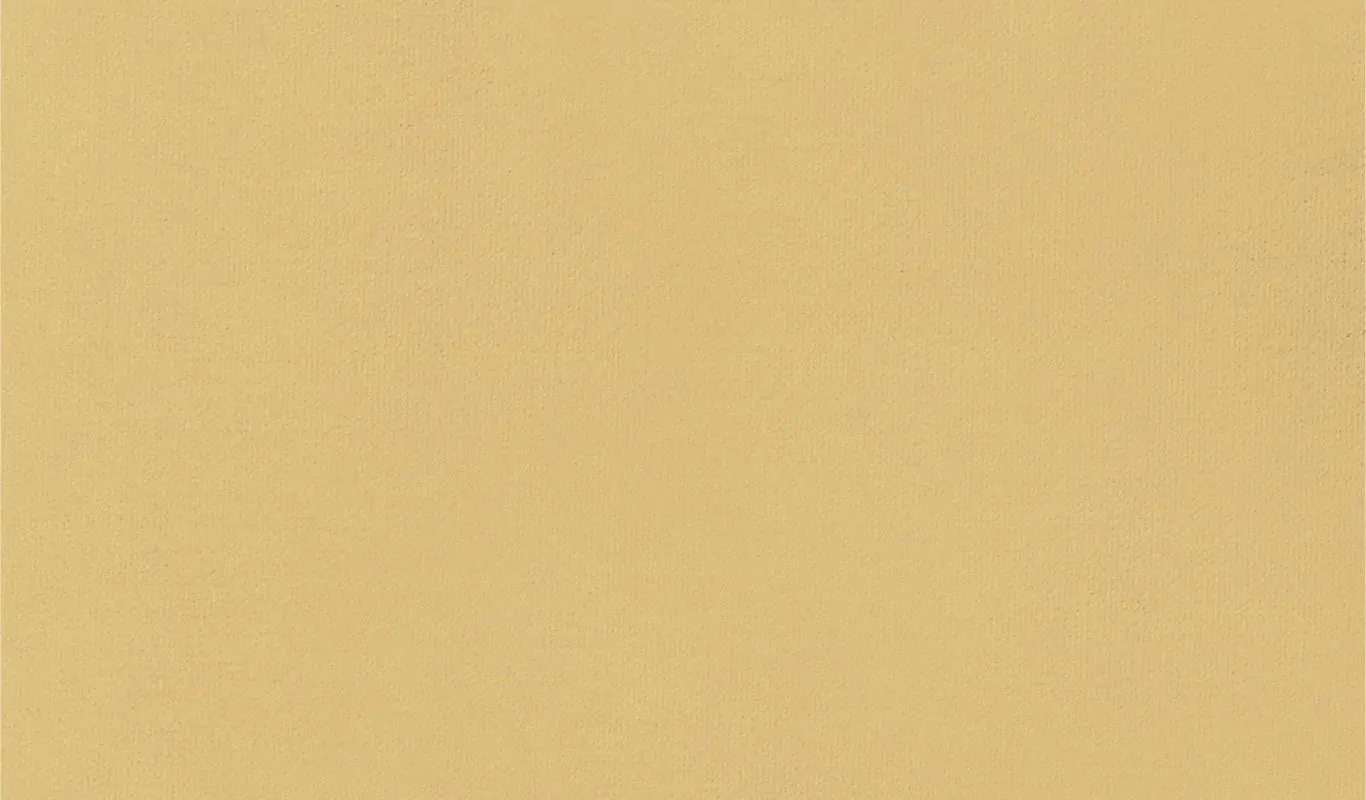 Butternut 61 | Renard