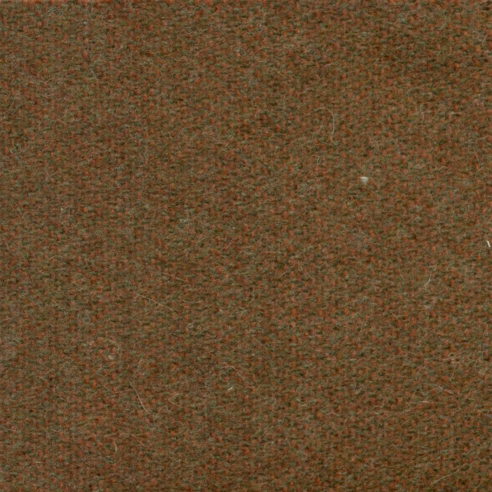 Caramel 440 | Savoy FR
