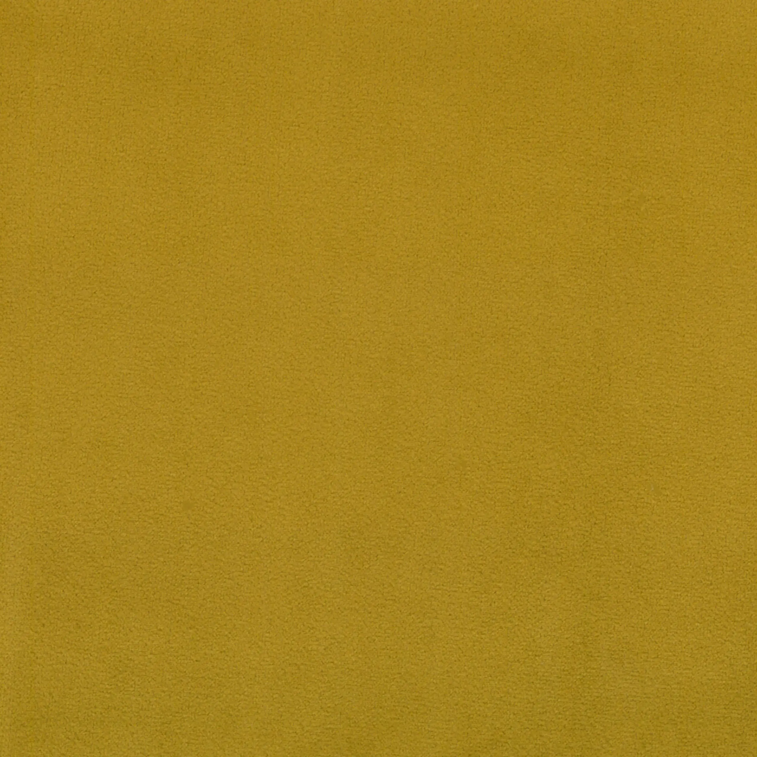 Olive 30 | Scot