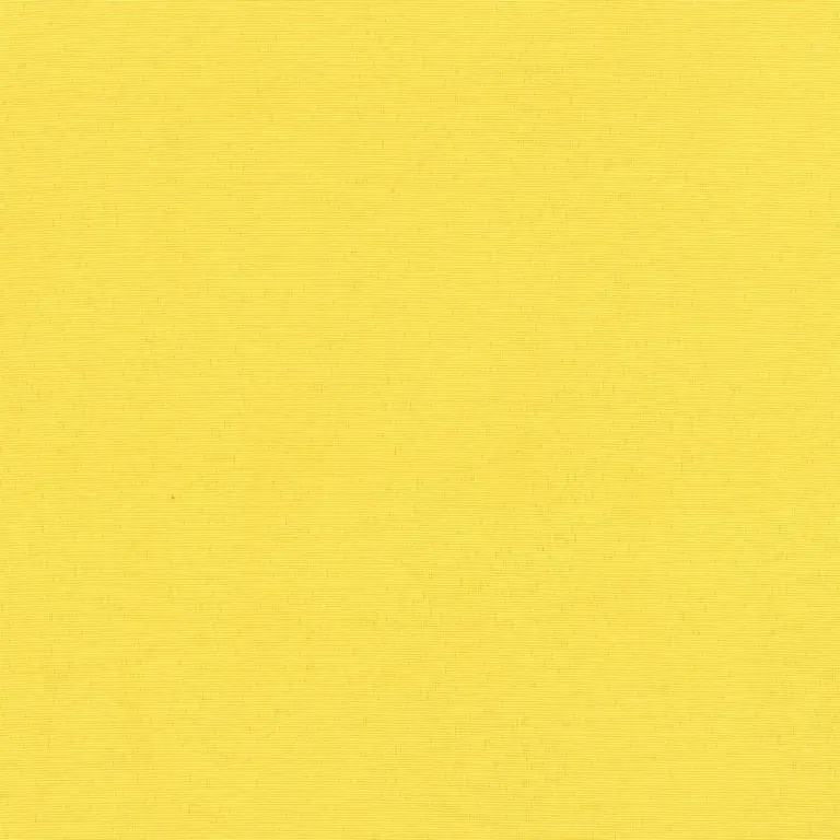 Sunflower 70