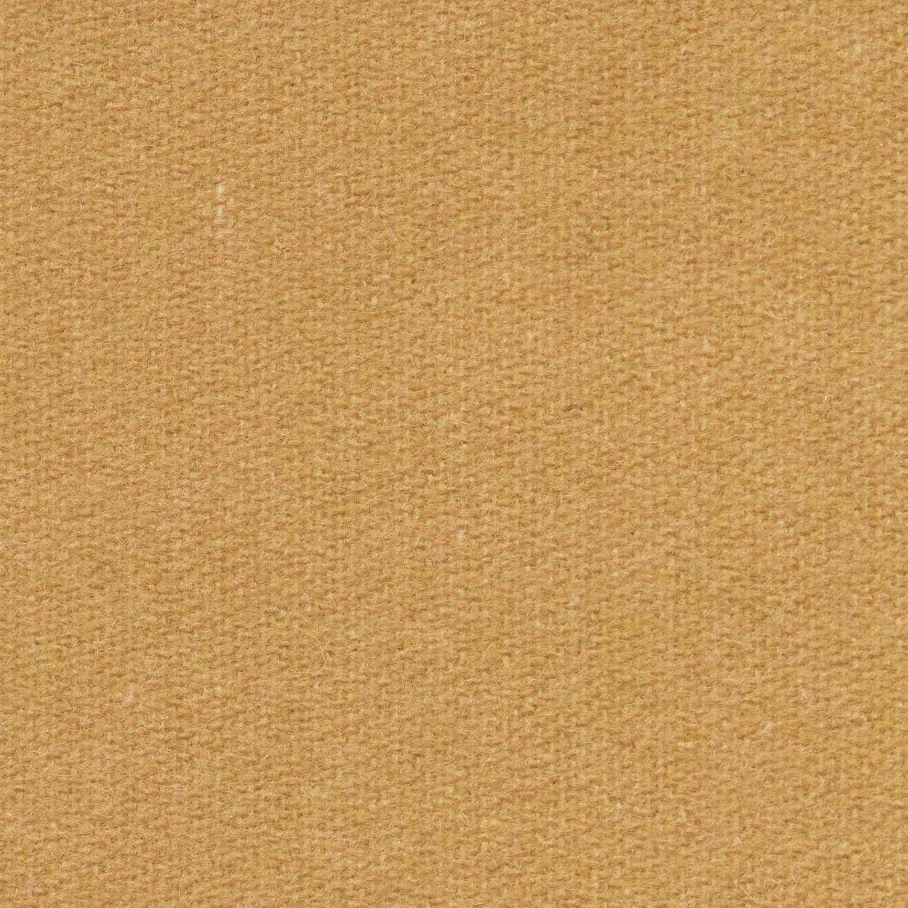 Straw 534 | Savoy FR