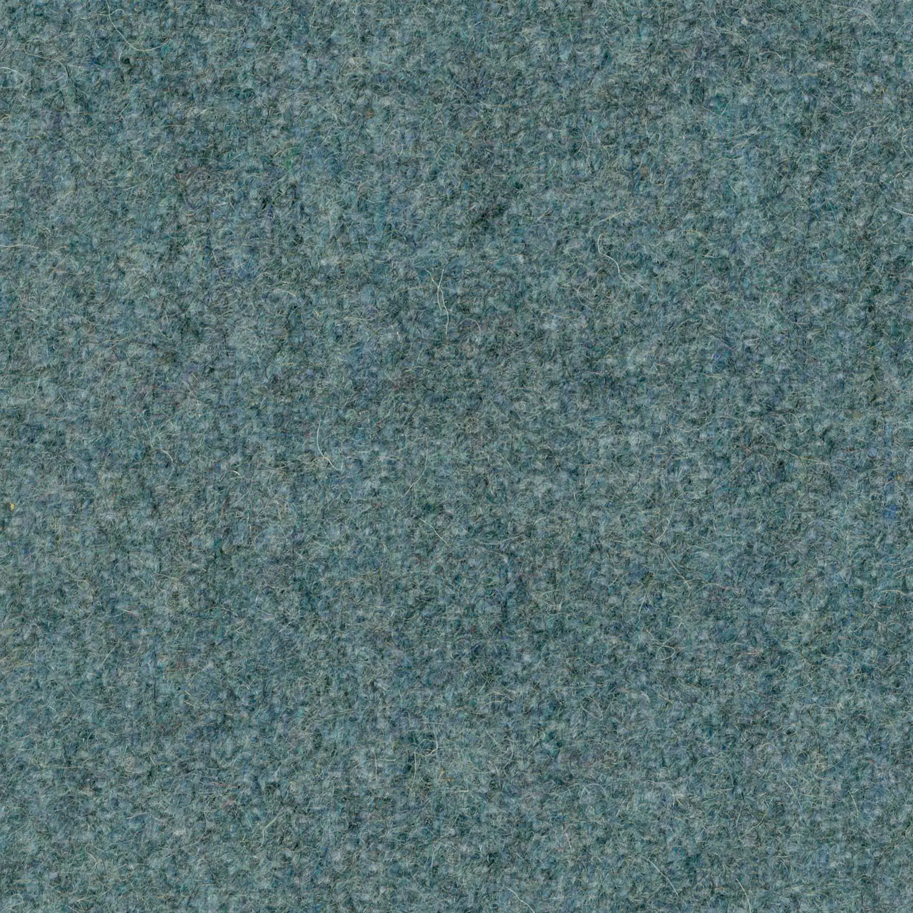 Arctic 69 | Wool