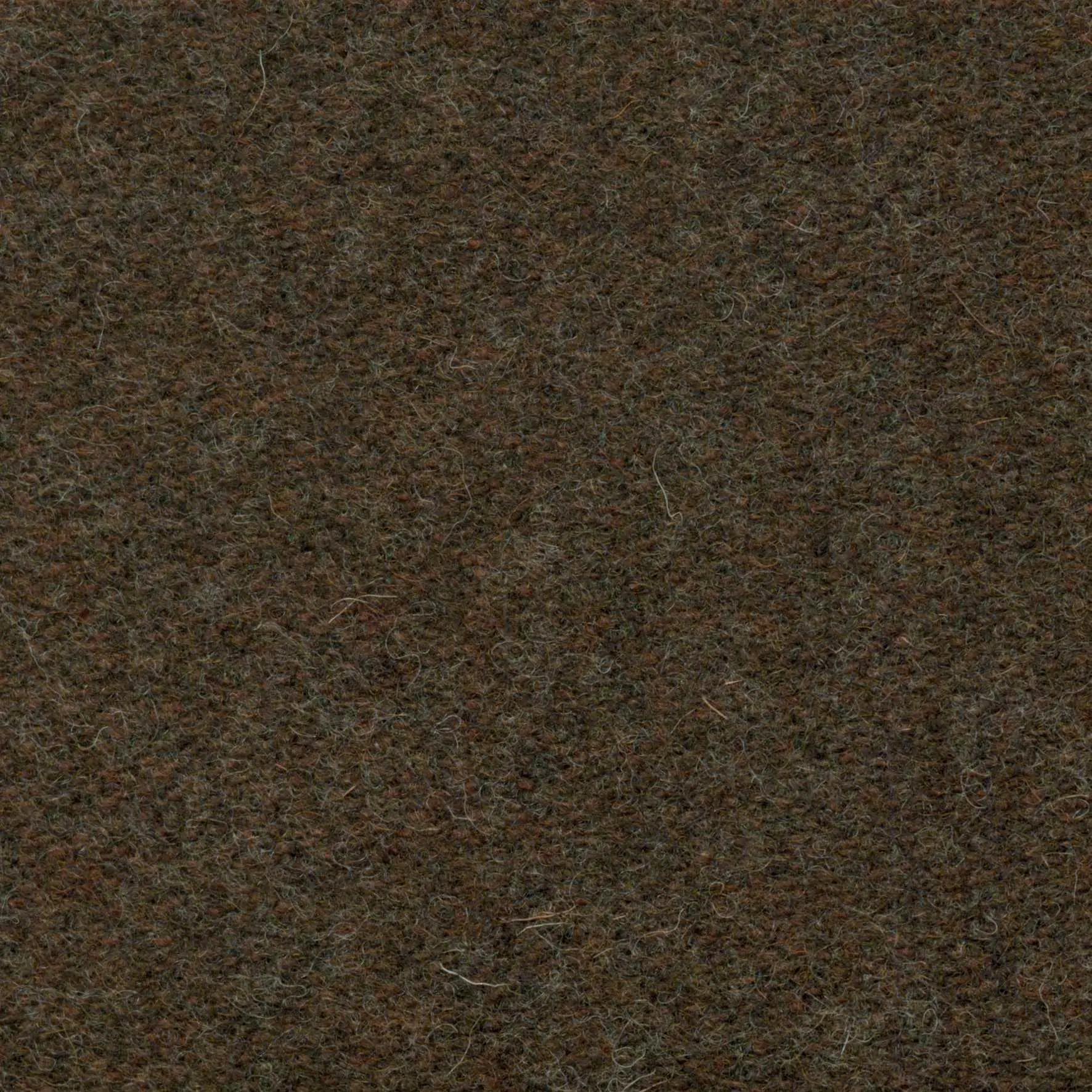 Nougat 404 | Savoy FR