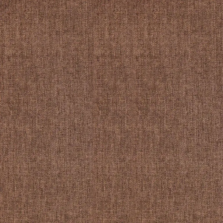 Chipmunk 041