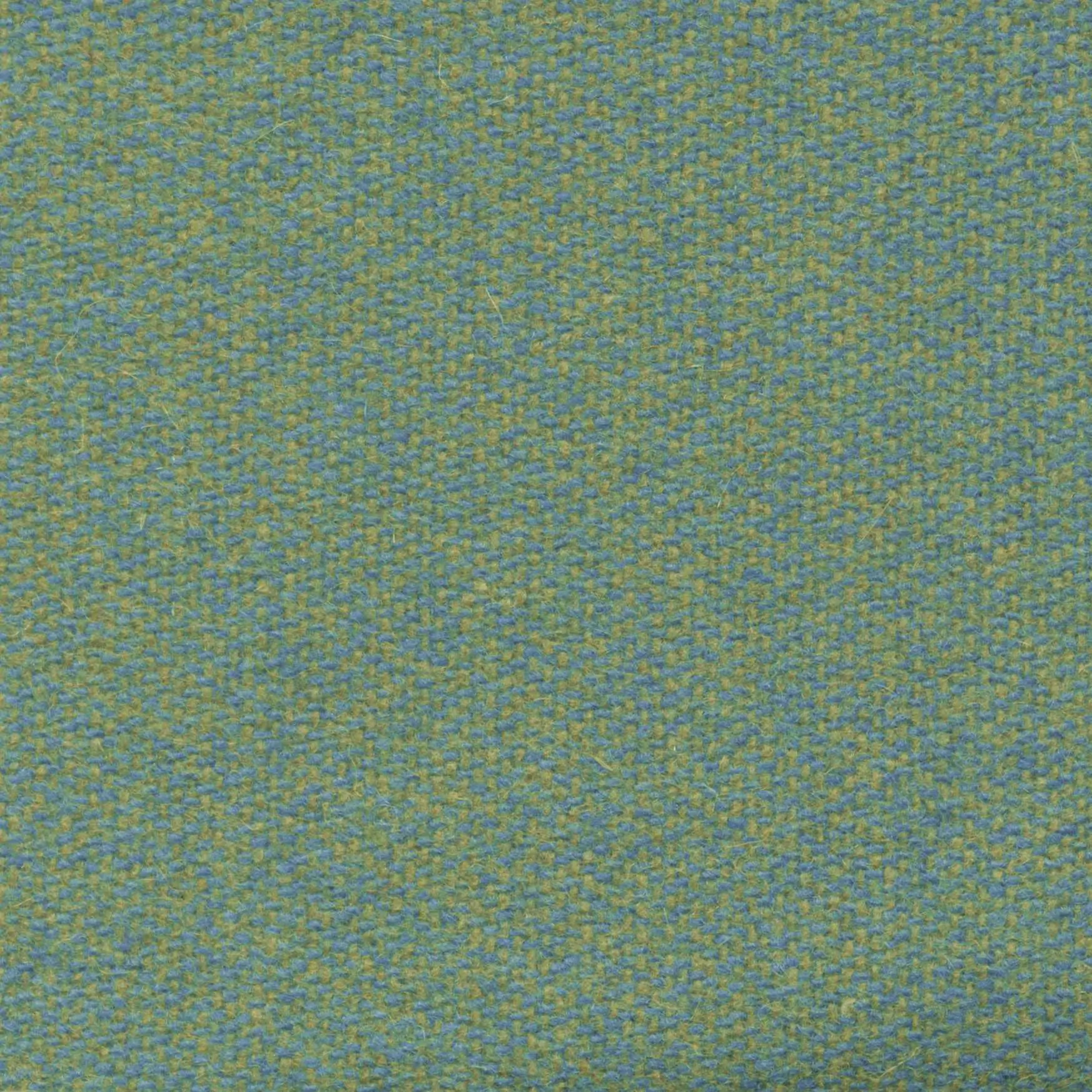 Seagrass 510 | Savoy FR