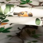 Orange 01 | Sparrow