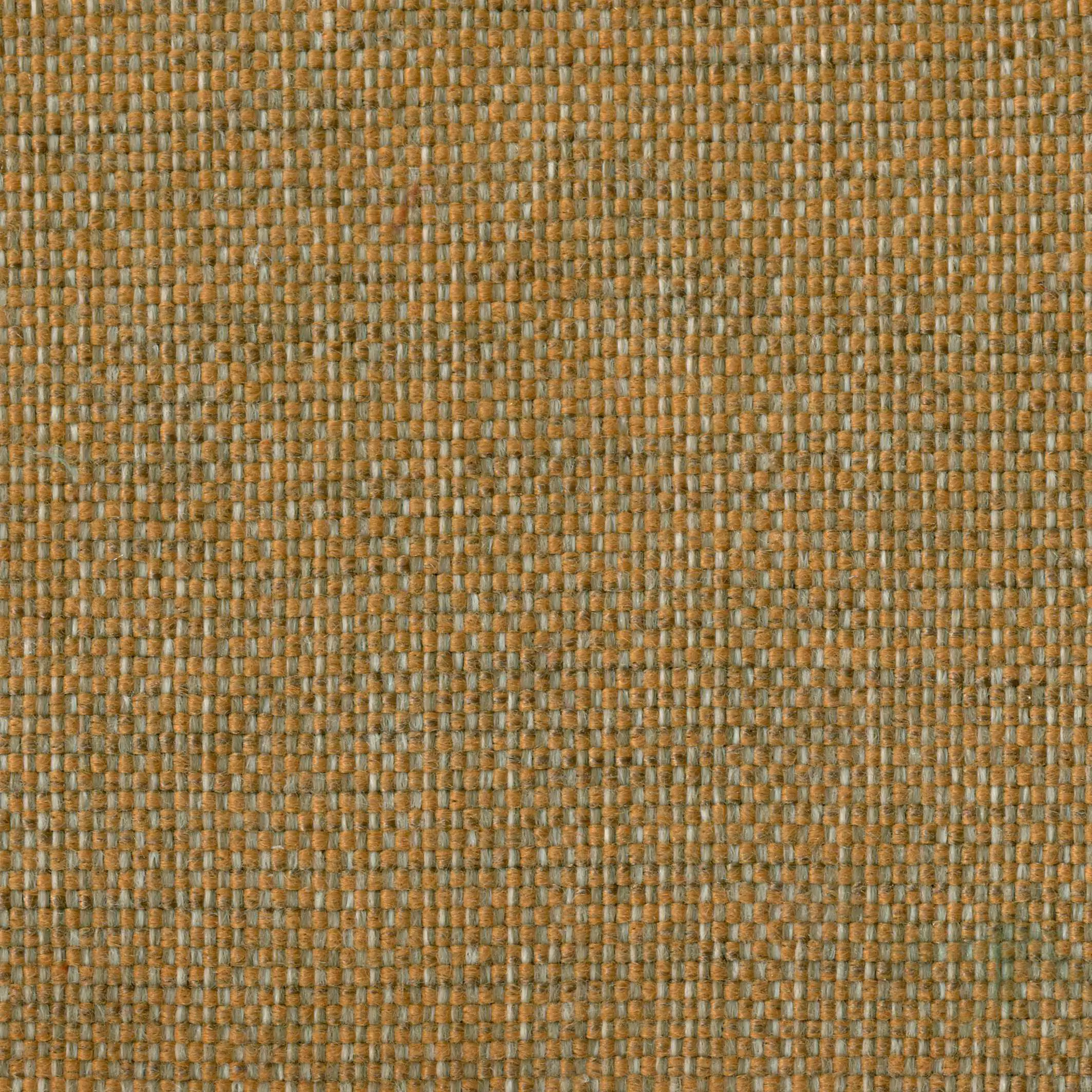 19121 | Mango