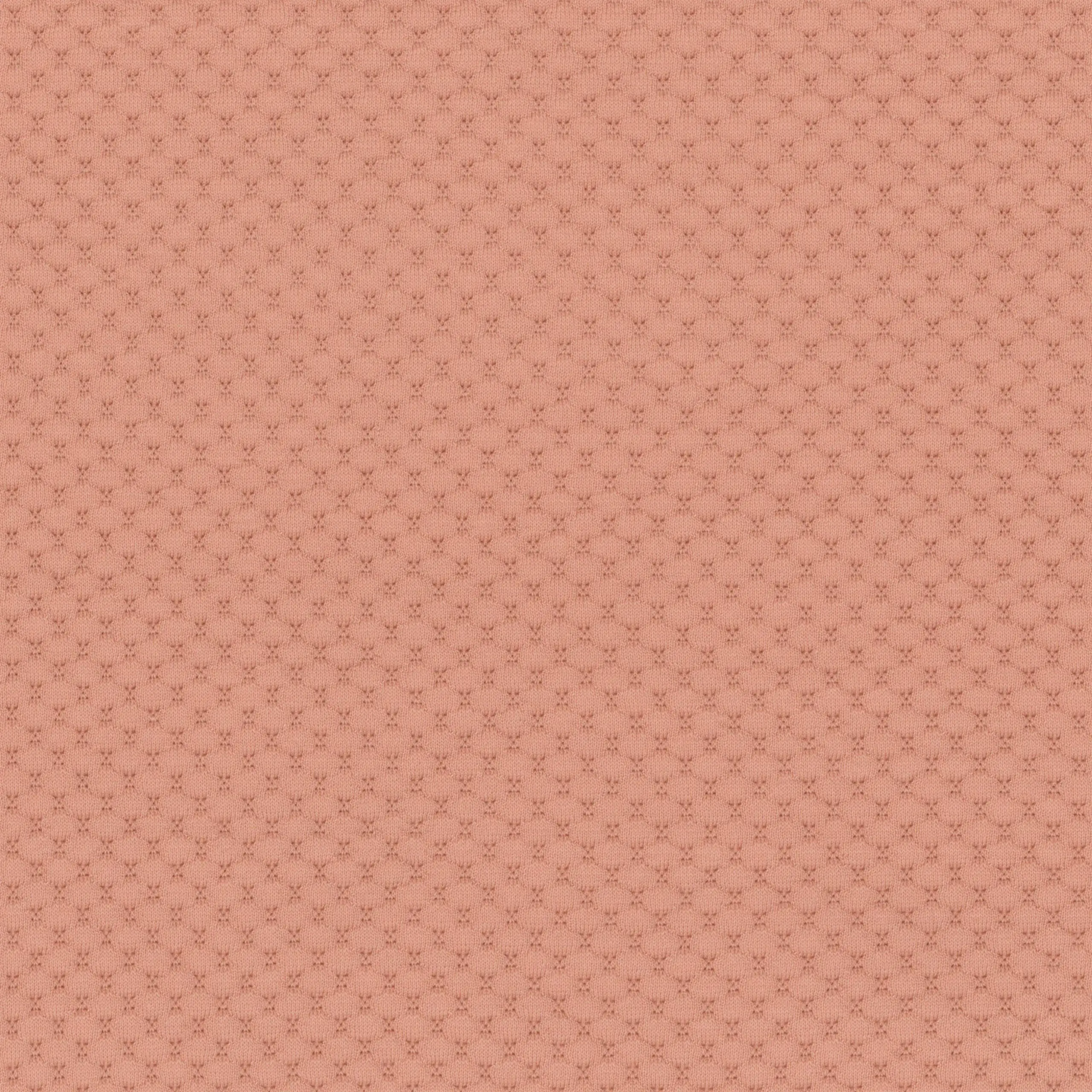 Shrimp 85 | Palea
