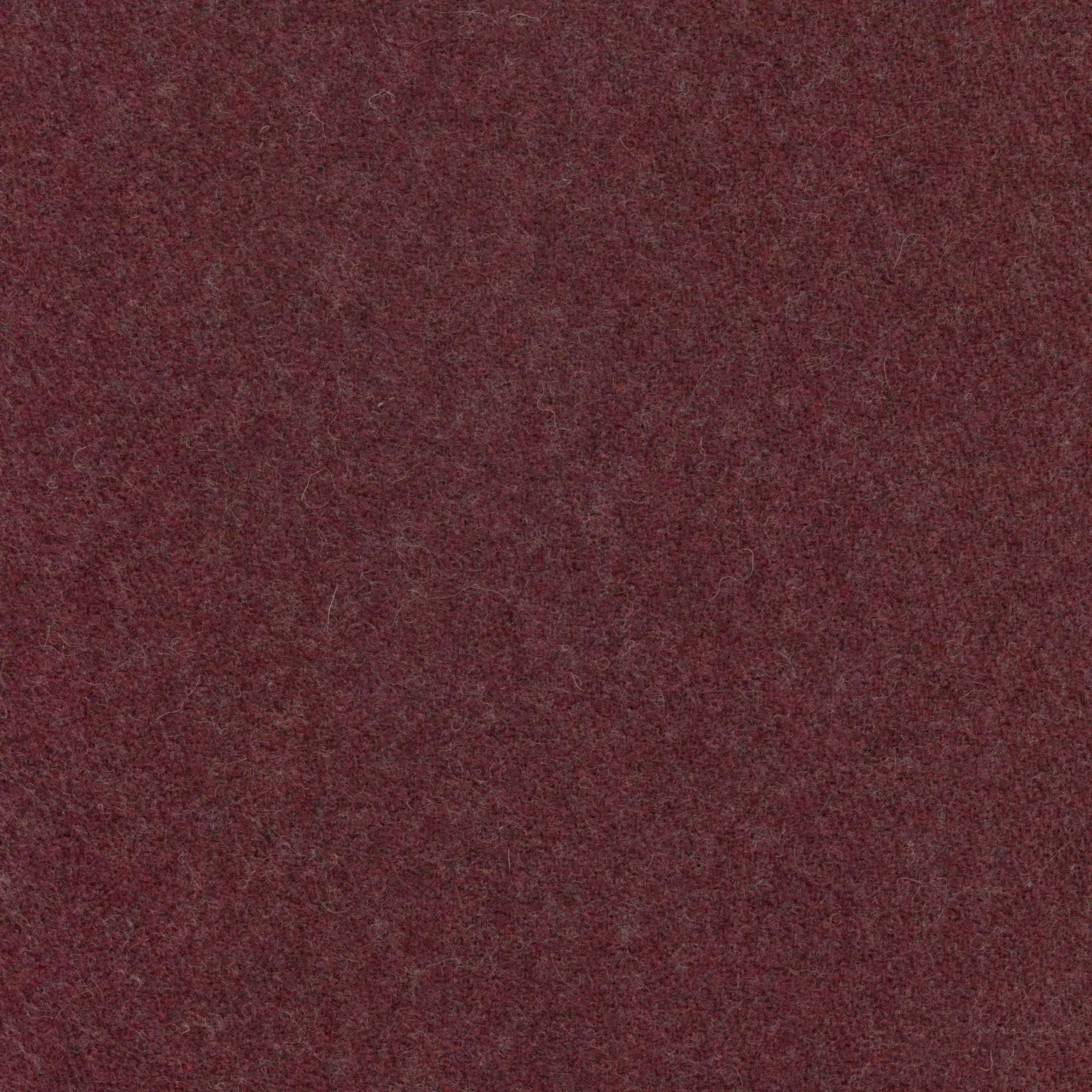 Plum 19 | Wool