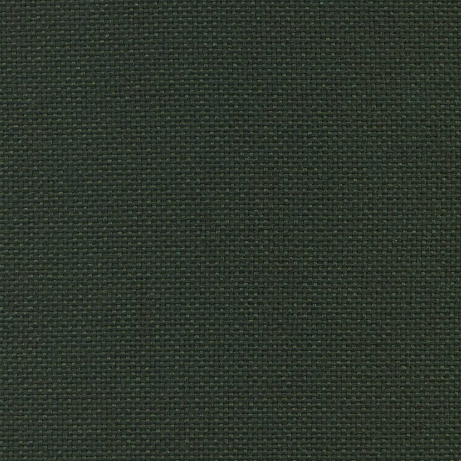 Army 53 | Trenza