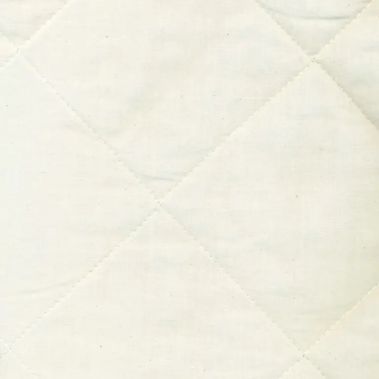 Ivory 02