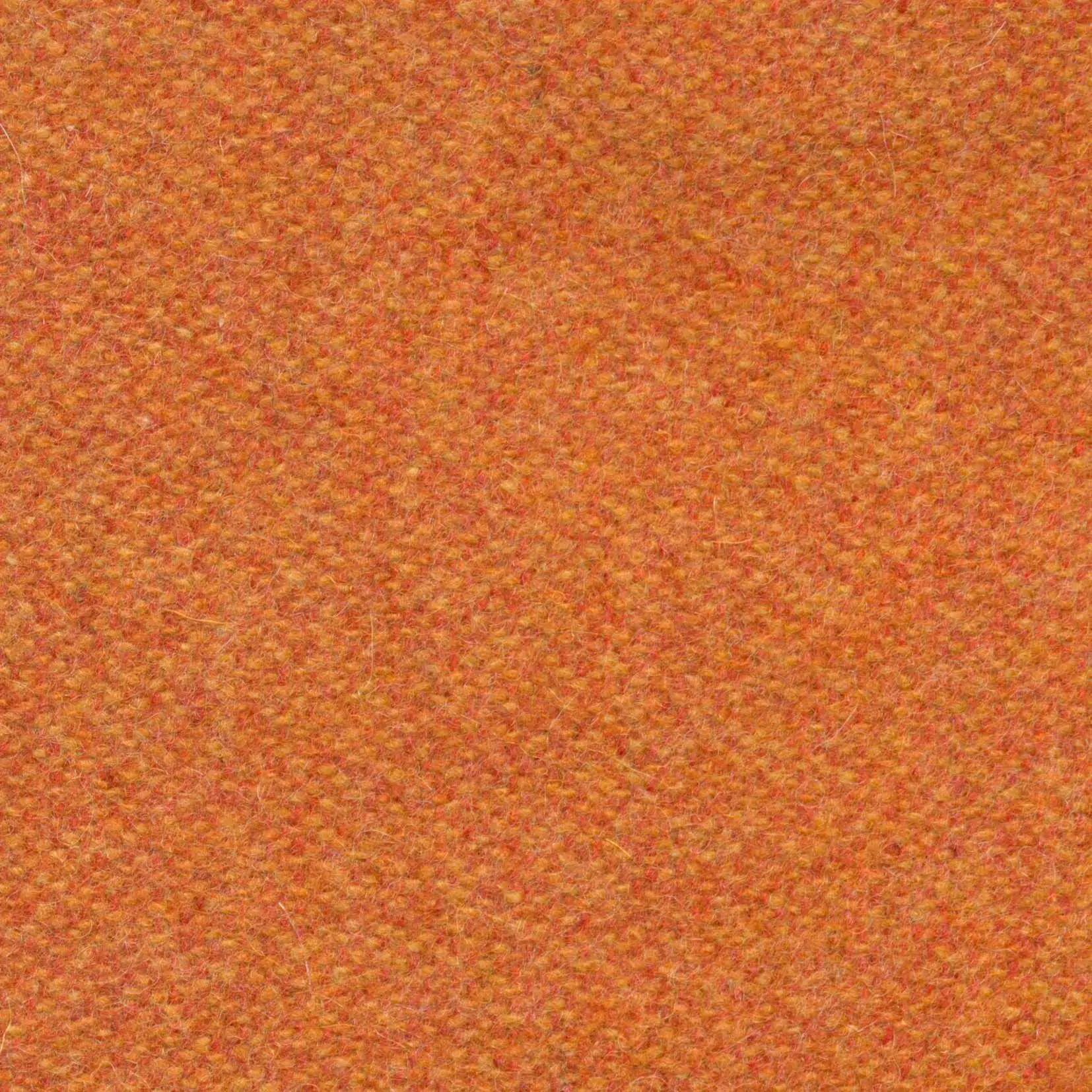 Terracota 506 | Savoy FR