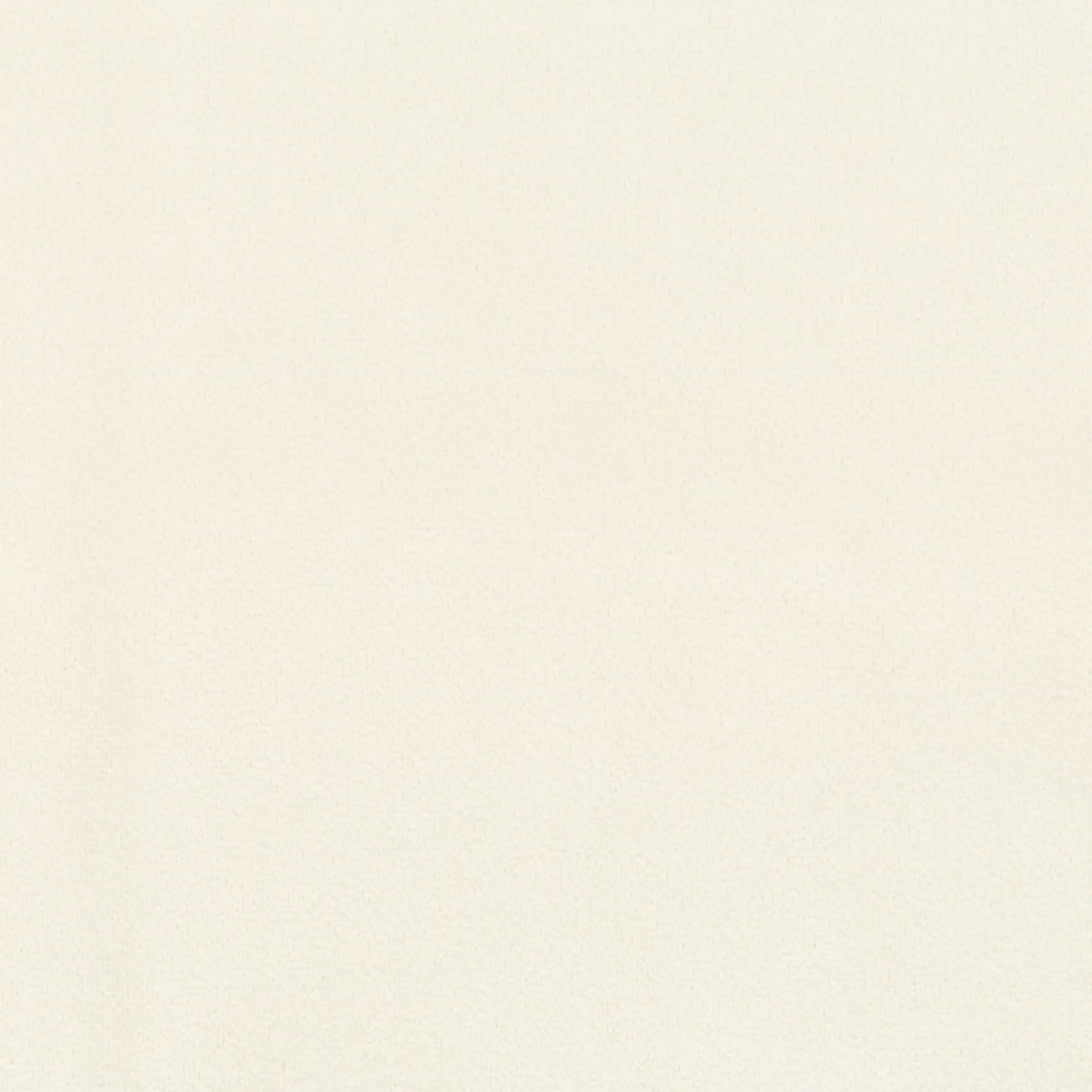 Ivory 26 | Scot