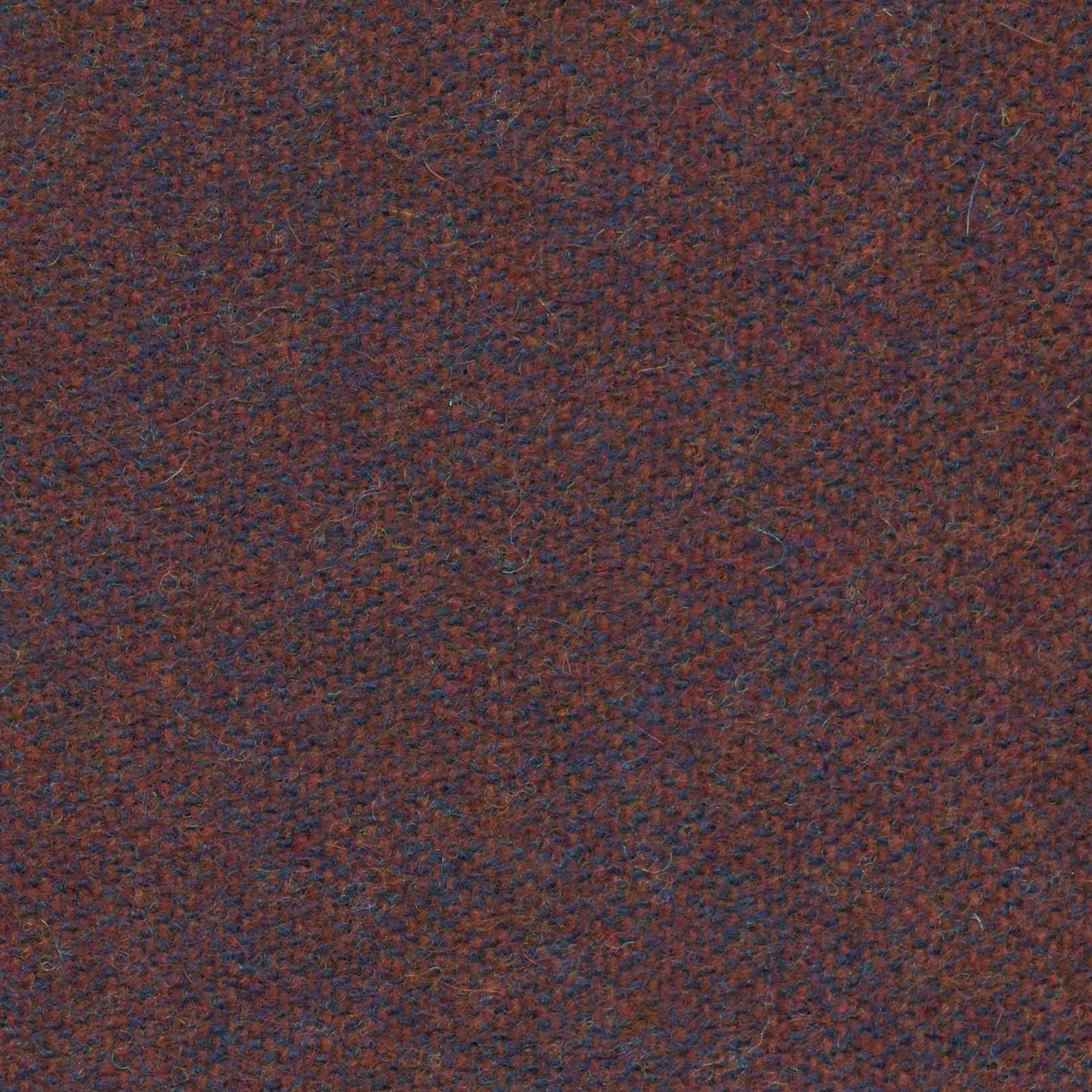 Plum 495 | Savoy FR
