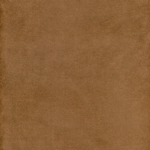 Brown 04 | Samanta