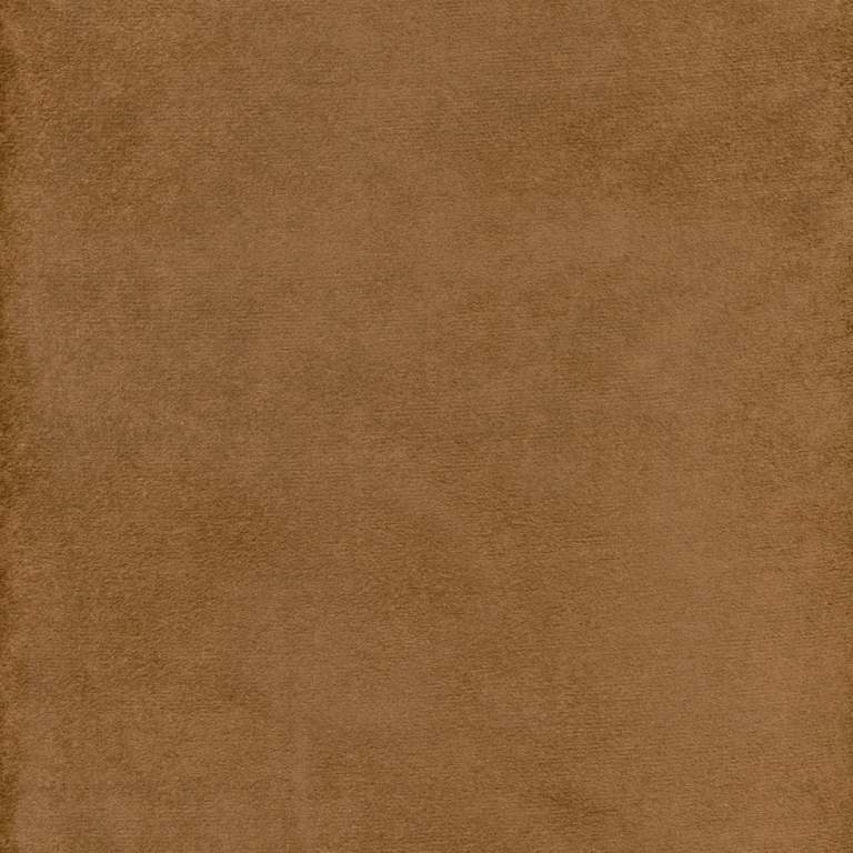 Brown 04