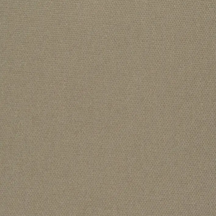 Taupe 16 | Roger