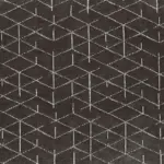 Fossil 201 | Ponte