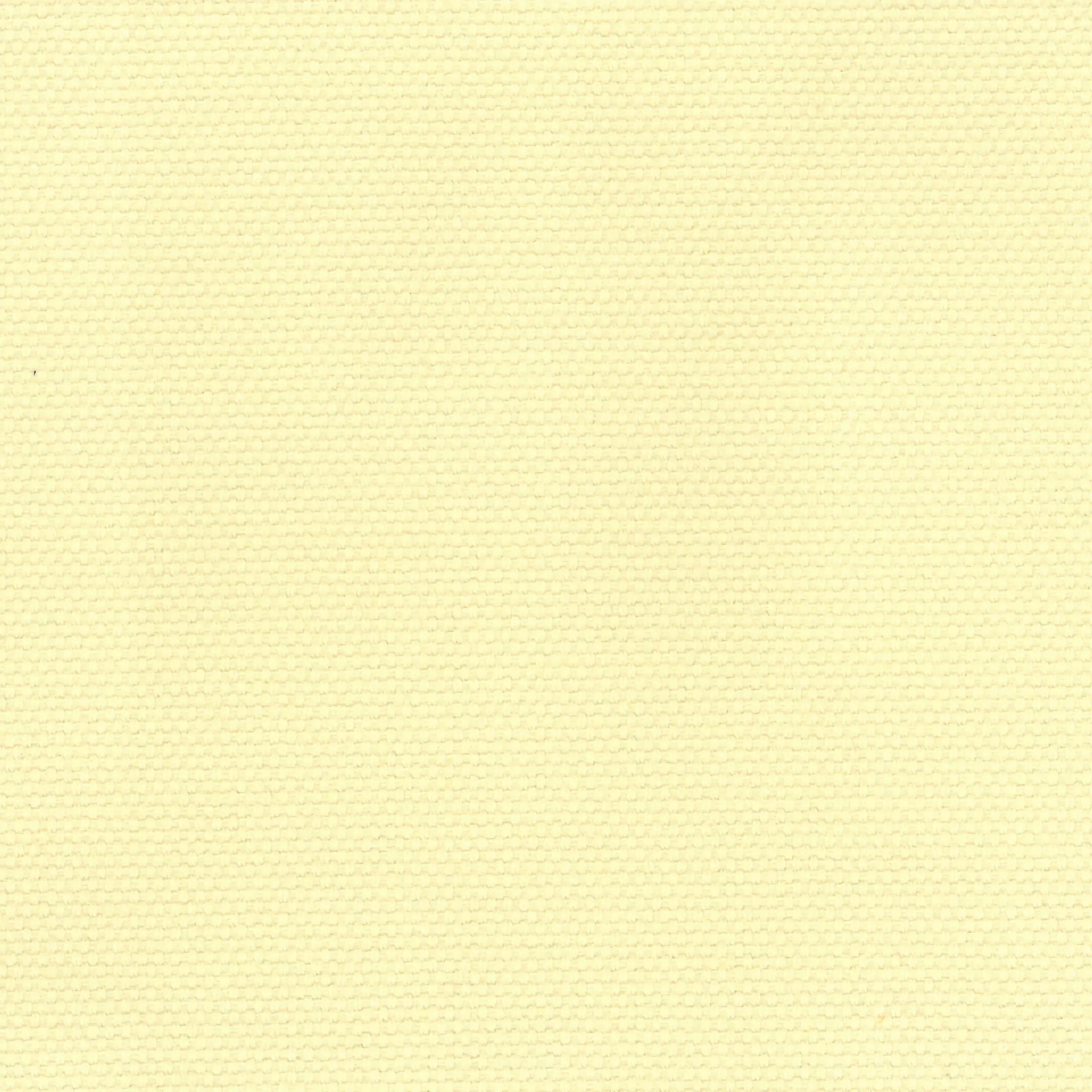 Vanilla 02 | Ringo