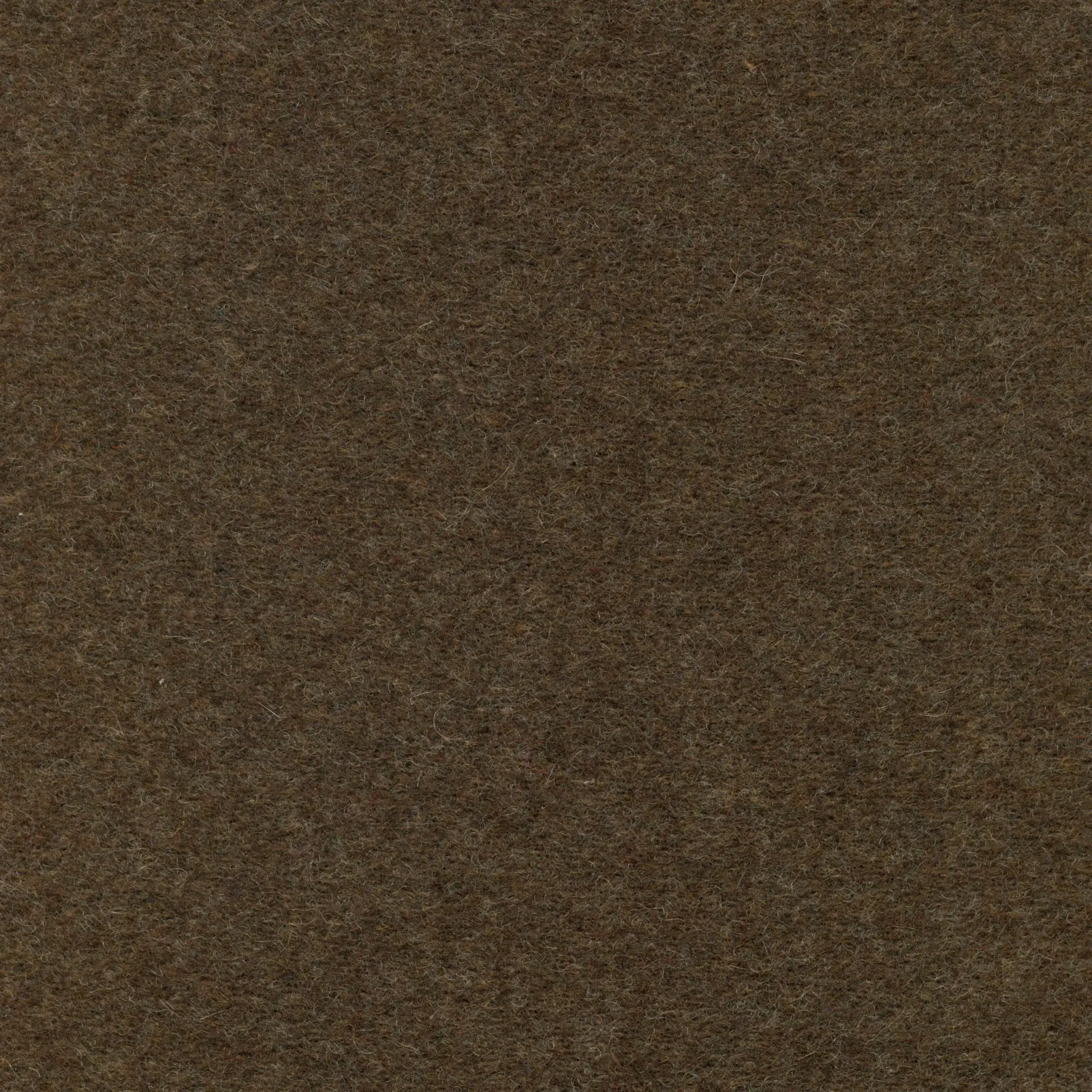 Chestnut 402 | Norma