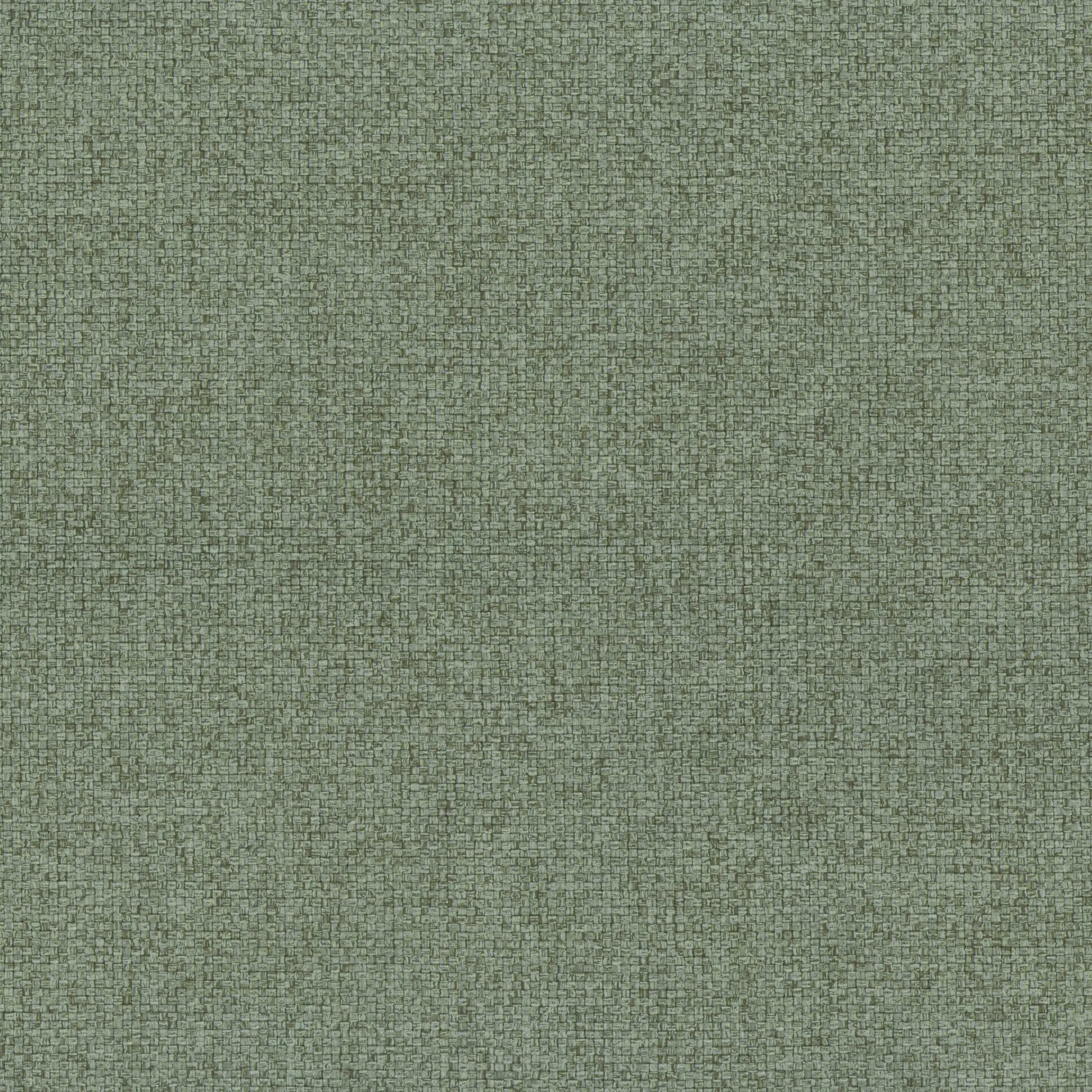 Laurel 55 | Linosa