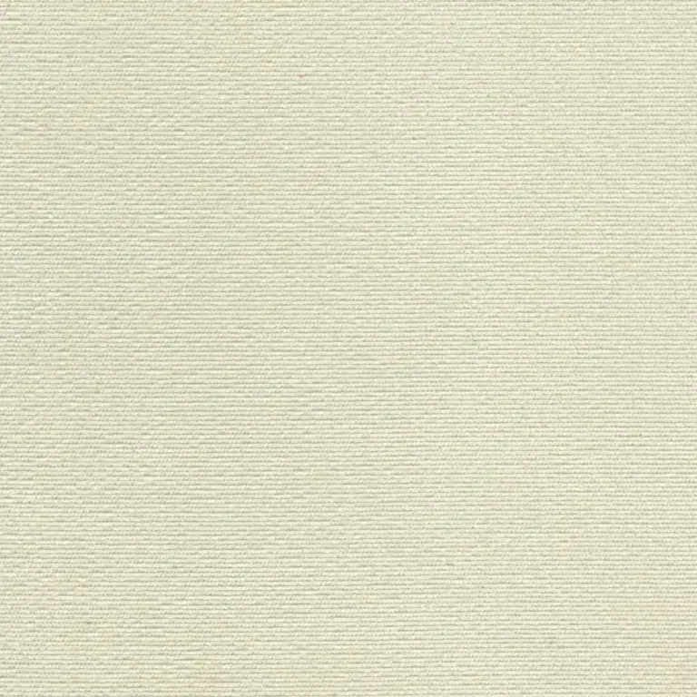 Raffia 02