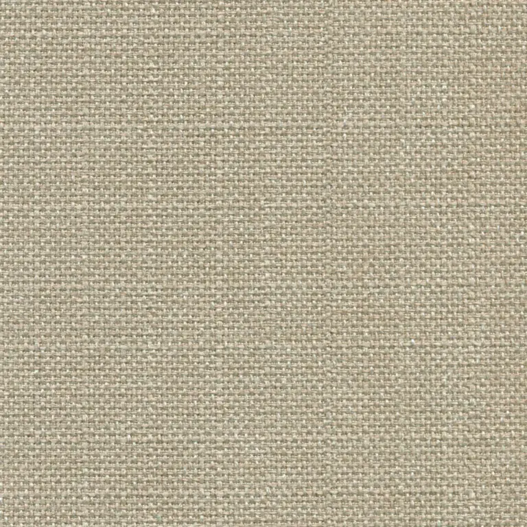 Seagrass 439