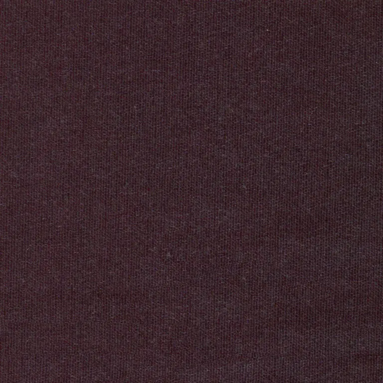 Eggplant 28