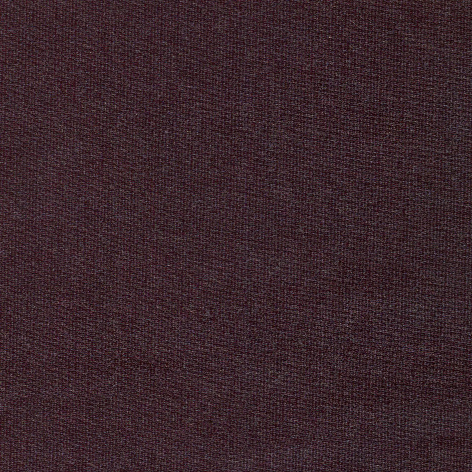 Eggplant 28 | Melba