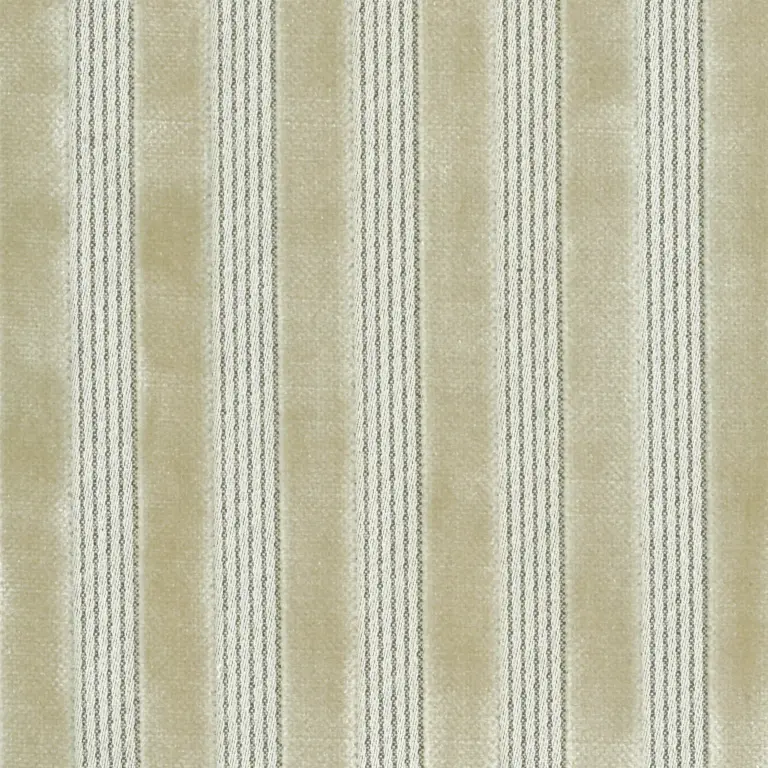 Ned
