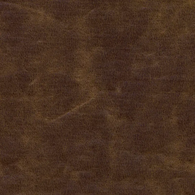 Coffee Bean 565