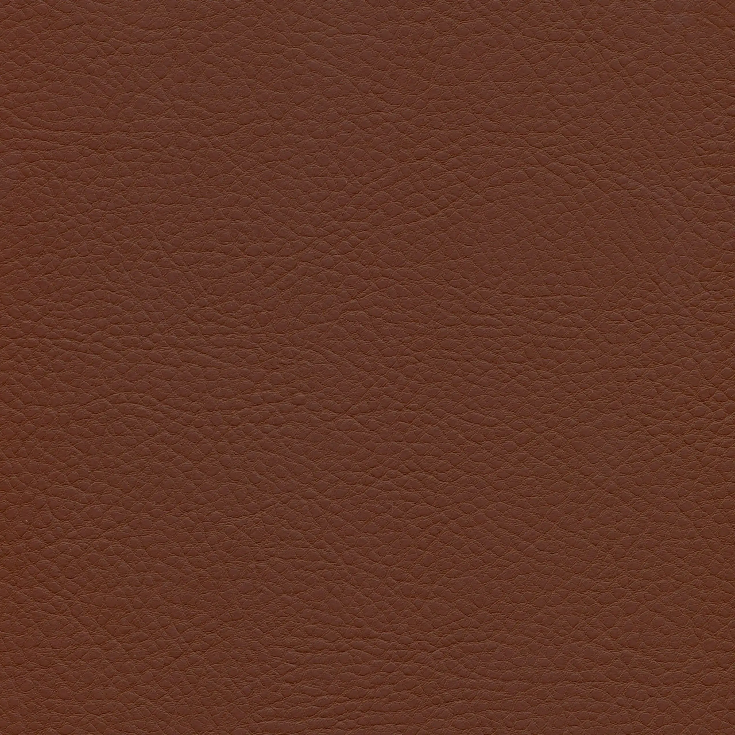 Brown | Mansur