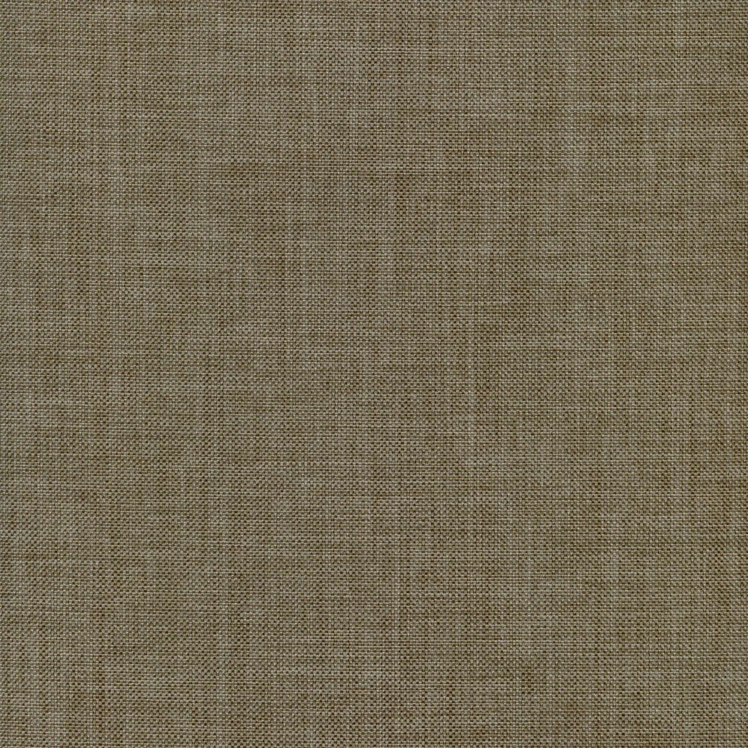 Truffle 911 | Solaris
