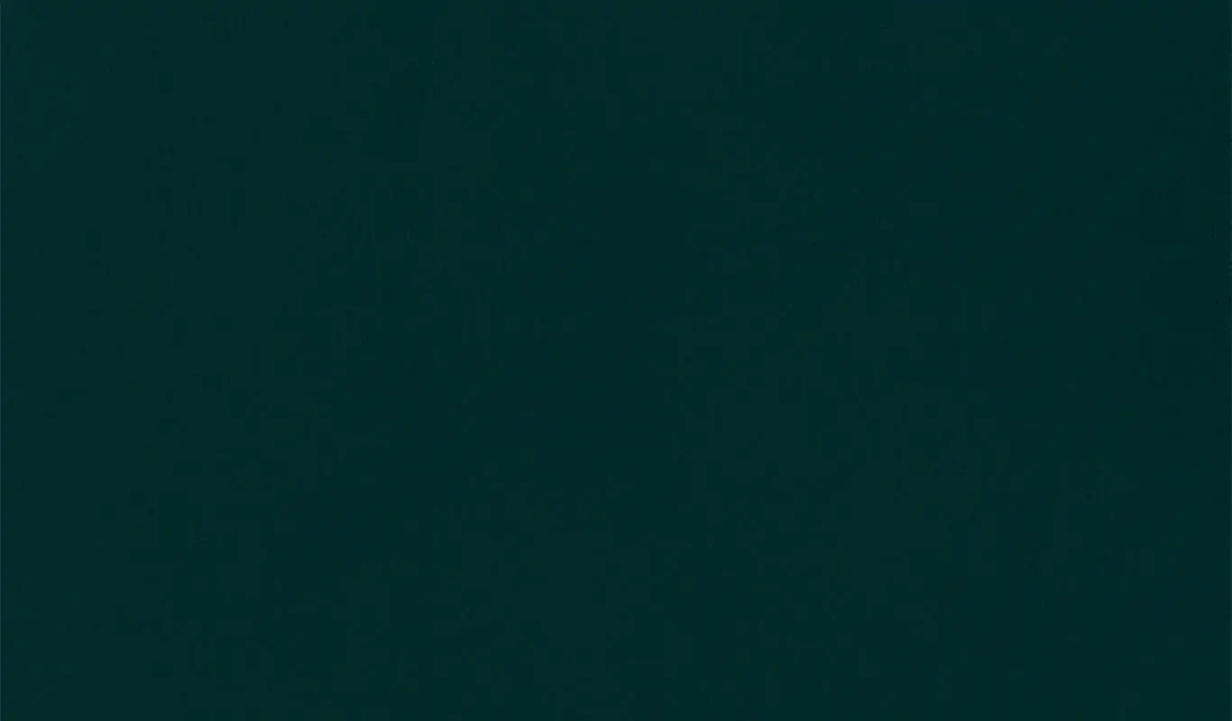Peacock 56 | Renard