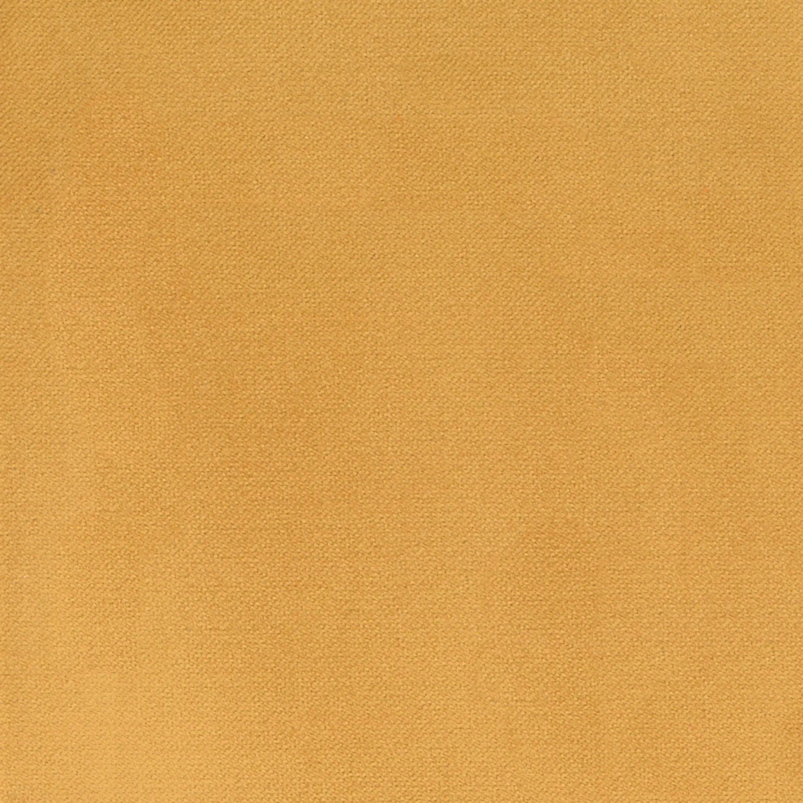 Saffron 014 | Severin