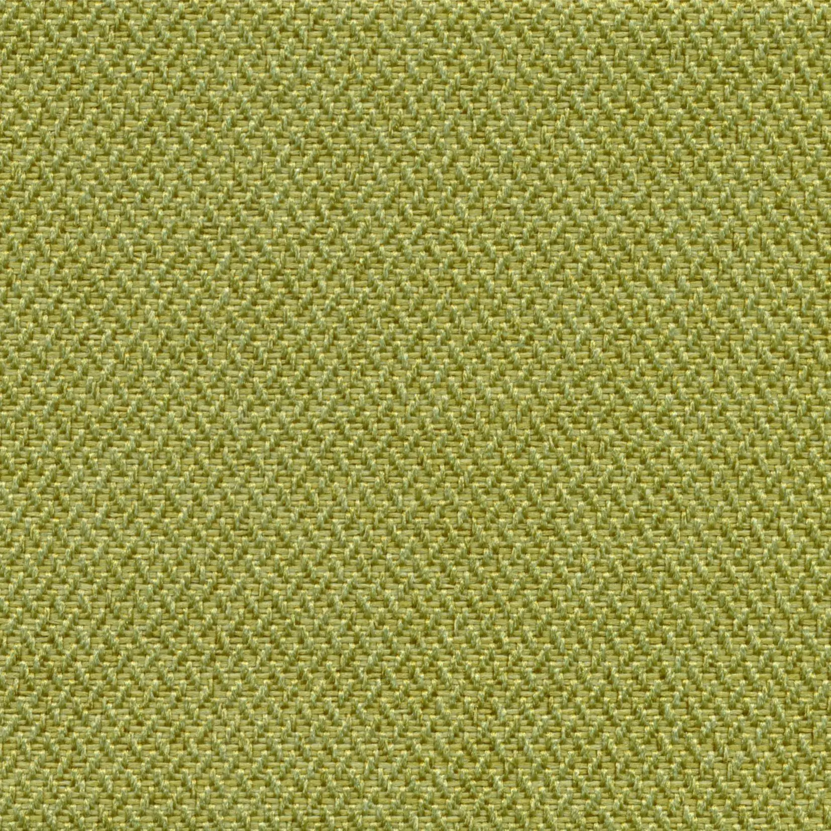 Leaf 500 | Meteor