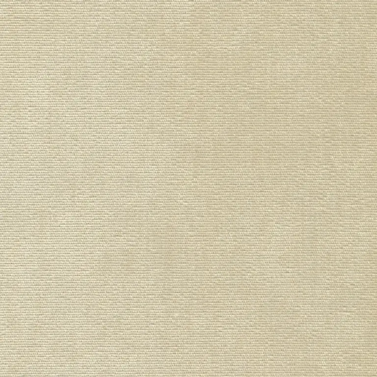 Calico 03