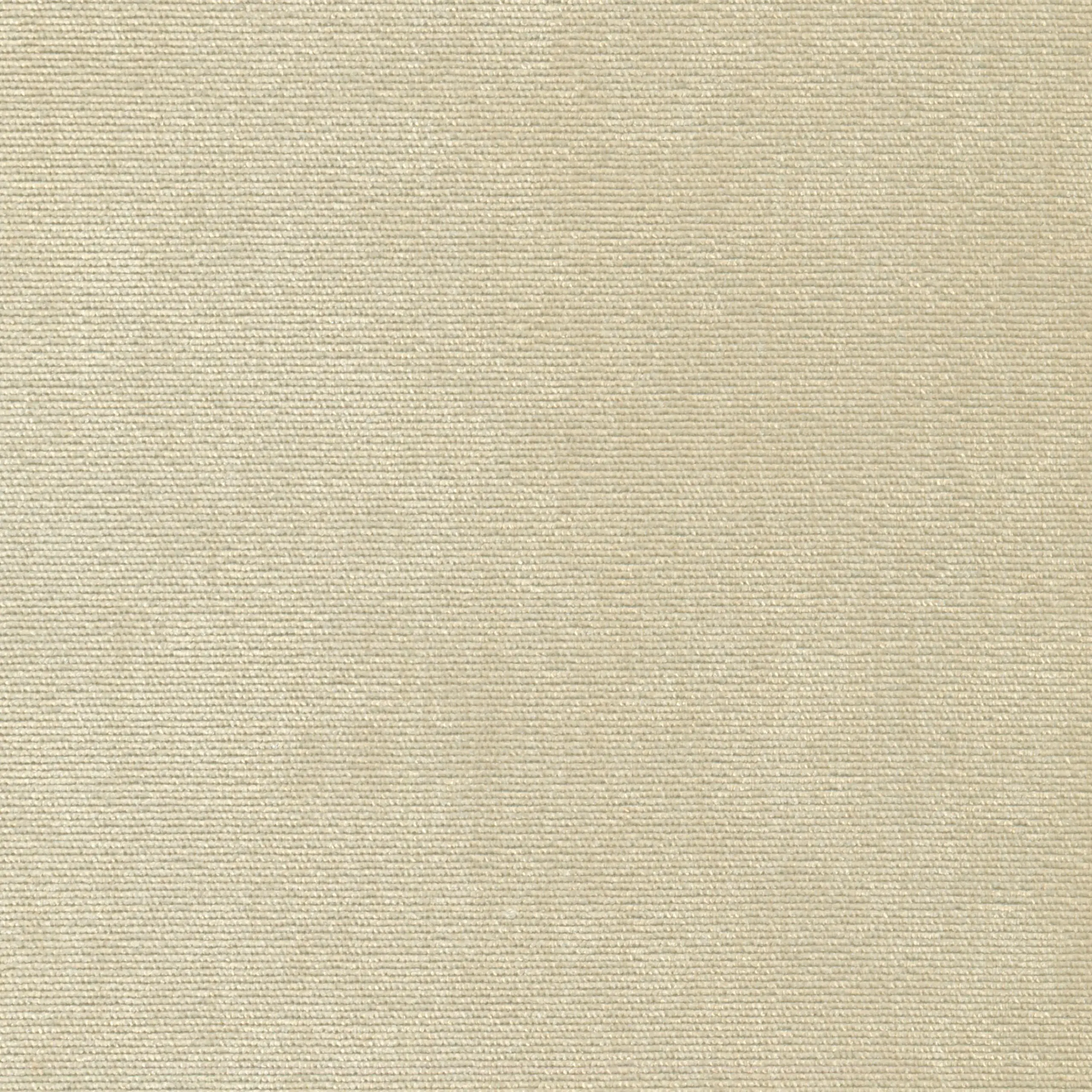 Calico 03 | Verner