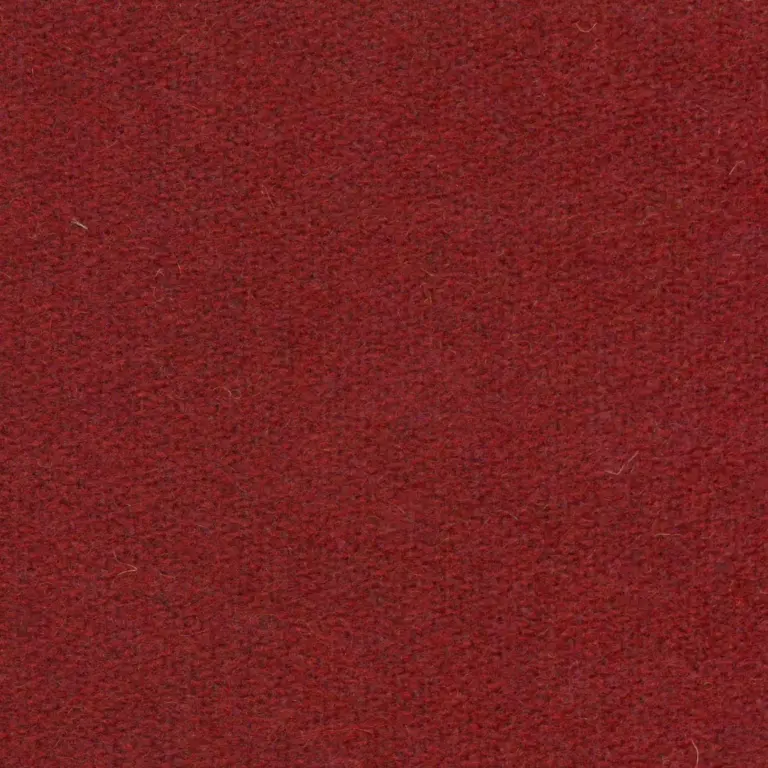 Rasberry 502